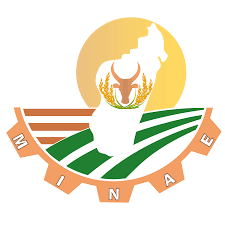 Logo institutionnel